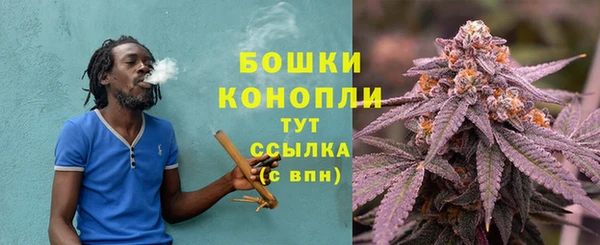 ECSTASY Бородино
