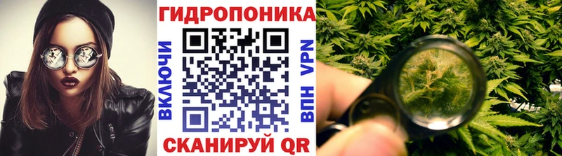 Марихуана конопля  ОМГ ОМГ как зайти  Кизилюрт  даркнет сайт 